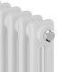 Дизайн-радиатор Royal Thermo Insignia C2180 - 10 секц. RAL9016 купить в Сочи