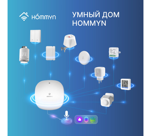 Датчик температуры и влажности HOMMYN THS30ZB купить в Сочи Датчик температуры и влажности HOMMYN THS30ZB купить в Сочи