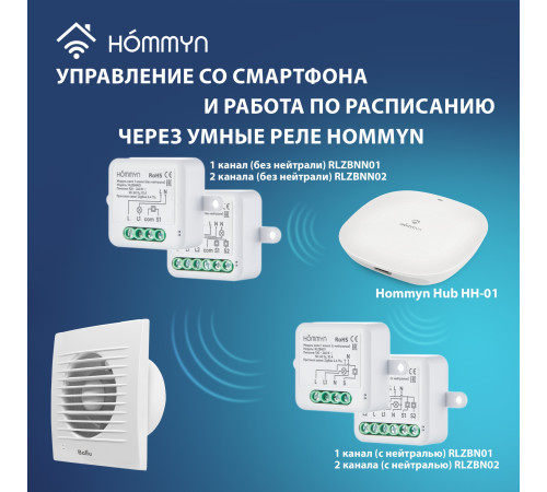 Вентилятор вытяжной Ballu BAF-FW 120 N с антимоскитной сеткой купить в Сочи Вентилятор вытяжной Ballu BAF-FW 120 N с антимоскитной сеткой купить в Сочи