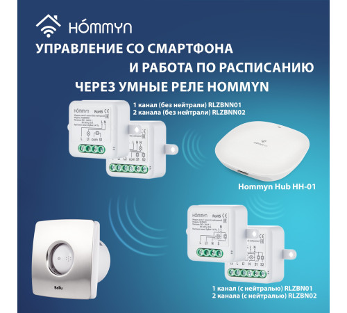 Вентилятор вытяжной Ballu BAFS - 100 купить  в Сочи