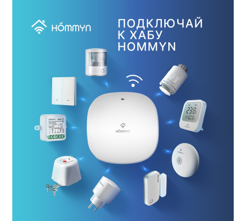 Модуль реле HOMMYN zigbee 2 канала (с нейтралью) RLZBN02 купить в Сочи Модуль реле HOMMYN zigbee 2 канала (с нейтралью) RLZBN02 купить в Сочи