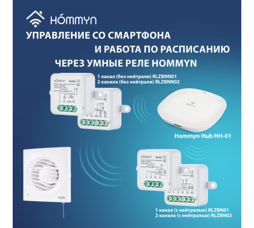 Вентилятор вытяжной Ballu BAF-AR 100 VP с обратным клапаном и тяговым выключателем купить  в Сочи