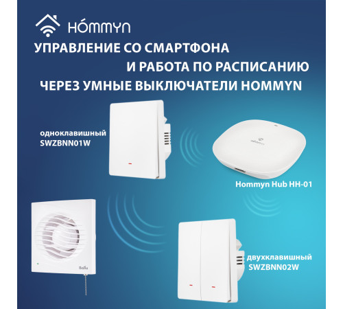 Вентилятор вытяжной Ballu BAF-AR 100 VP с обратным клапаном и тяговым выключателем купить  в Сочи