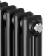Дизайн-радиатор Royal Thermo Insignia C2180 - 10 секц. RAL9005m